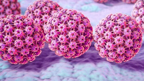 Virus HPV 